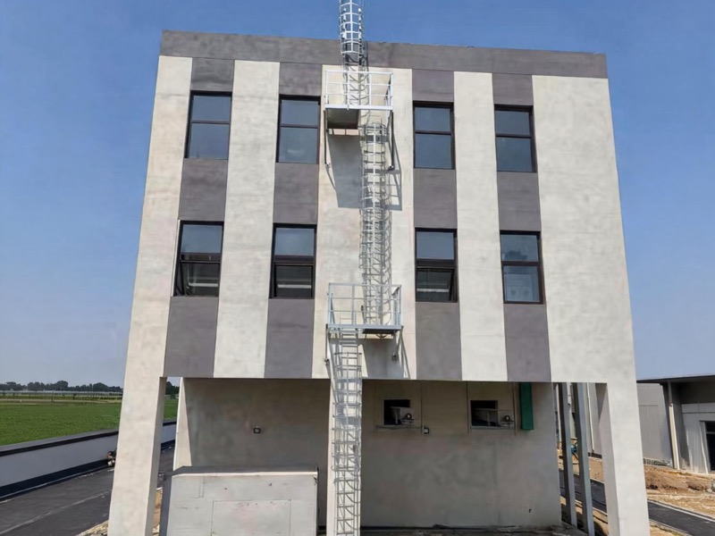 Cat ladder installation service on a modern building