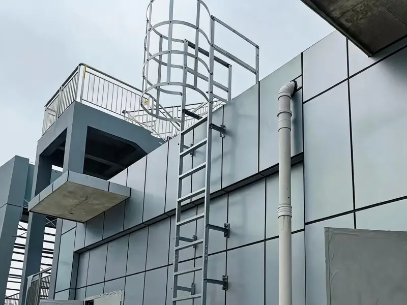 Cat ladder on modern building facade
