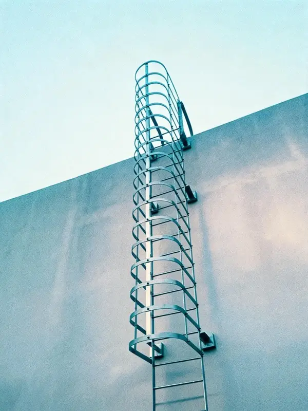 Cat ladder with safety cage