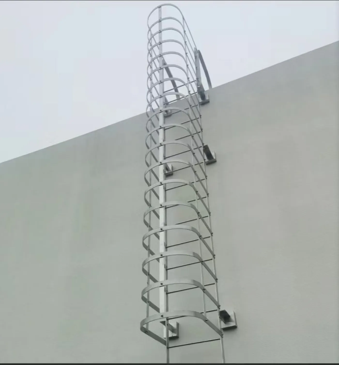 Cat ladder with cage hoops in galvanized blue finish